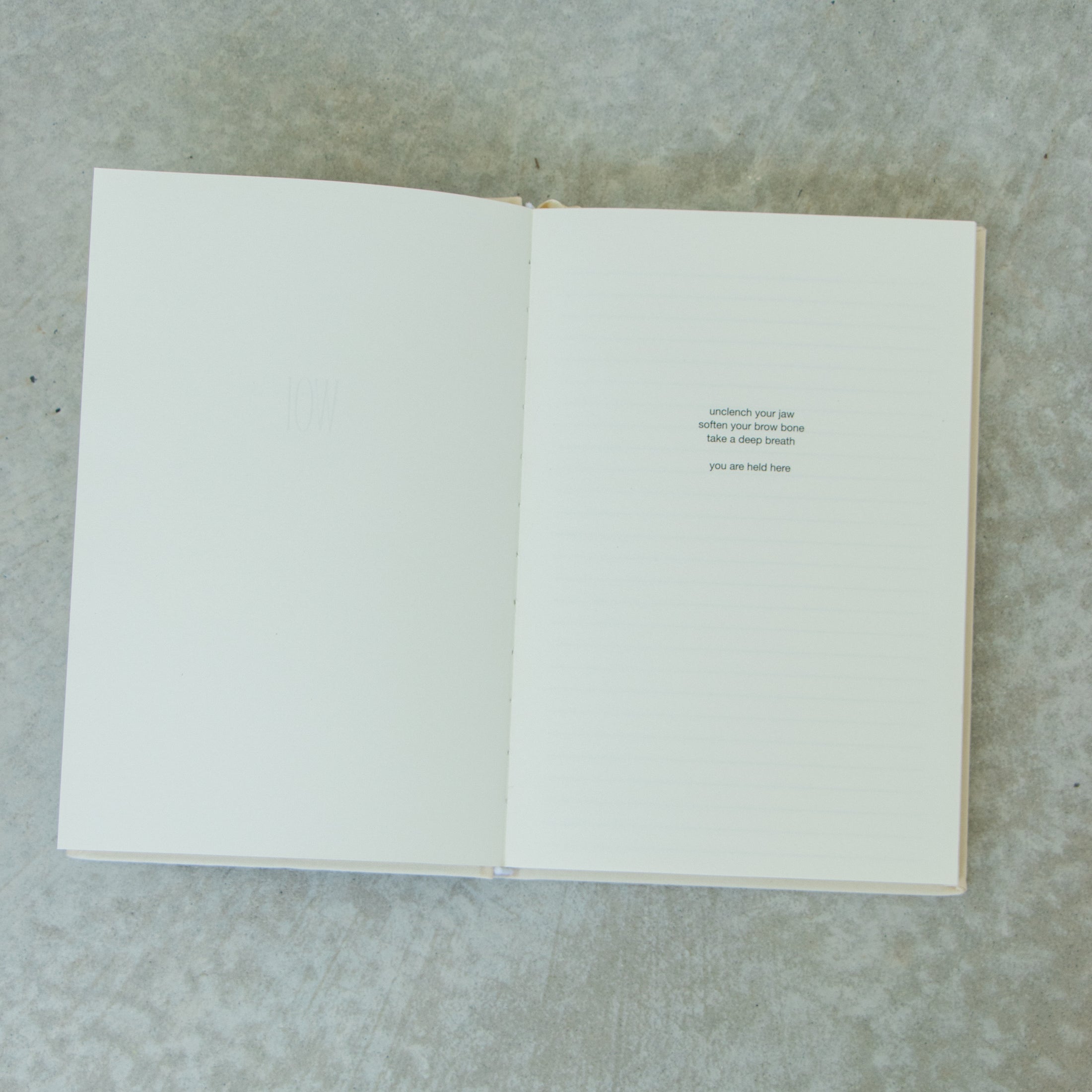 WOI Lined Journal